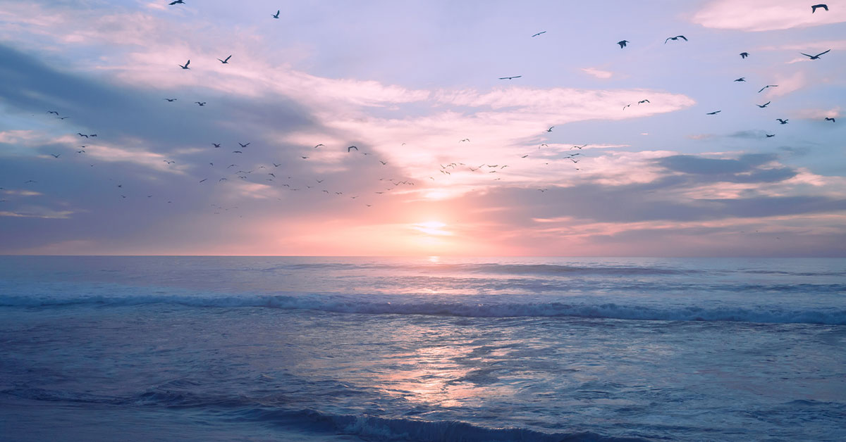 Sun rising over the beach